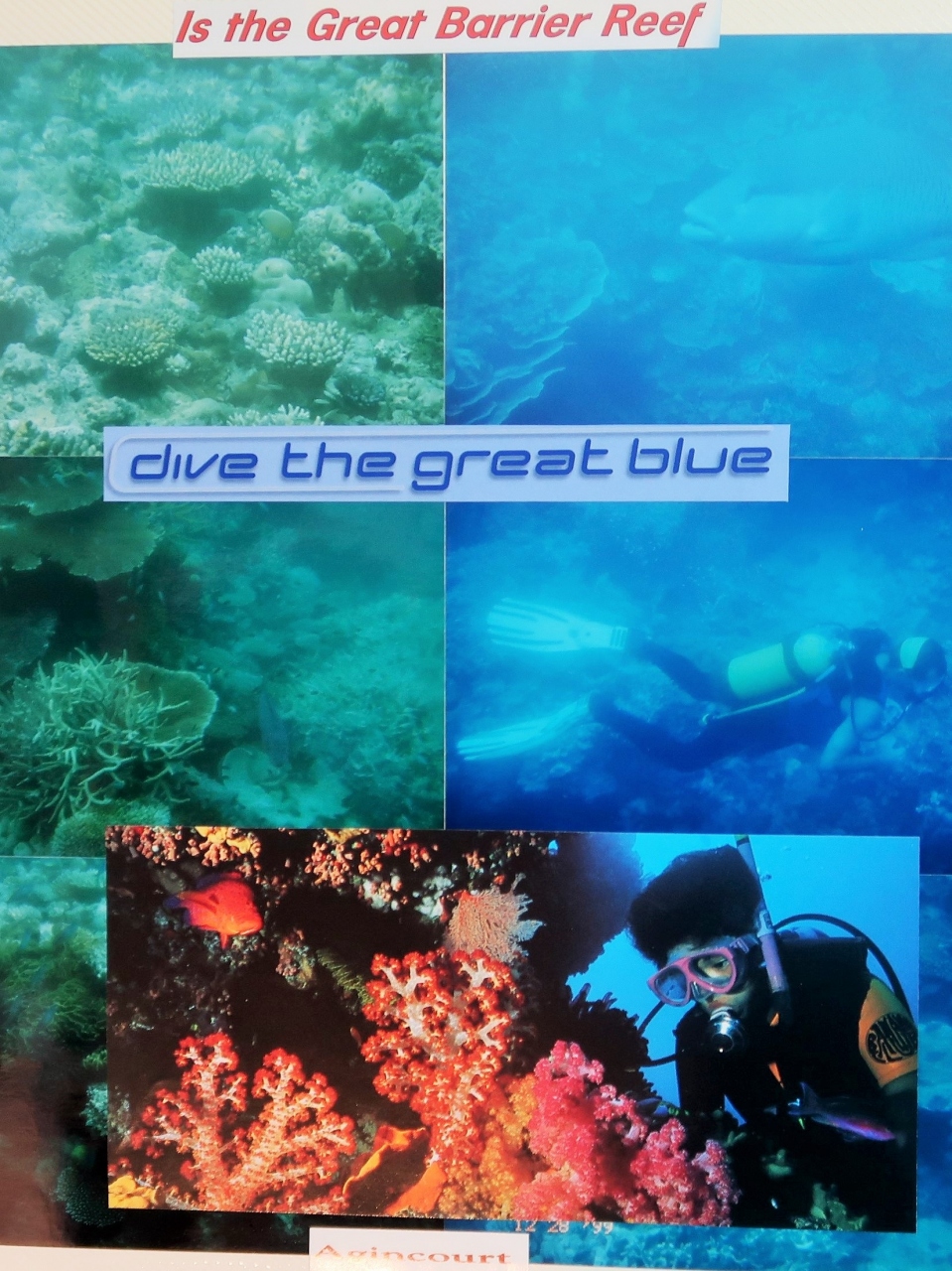 ケアンズ1999暮 7days 4 グレートバリアリーフ Scubadiving Circusshow グレートバリアリーフ周辺 オーストラリア の旅行記 ブログ By マキタンさん フォートラベル