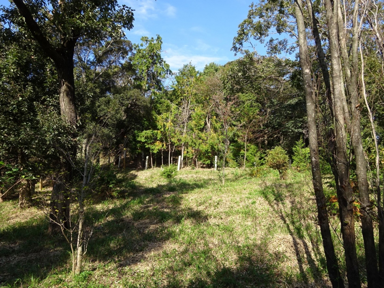 ヤマトタケルの家路15 終焉の地 亀山 三重県 の旅行記 ブログ By しにあの旅人さん フォートラベル