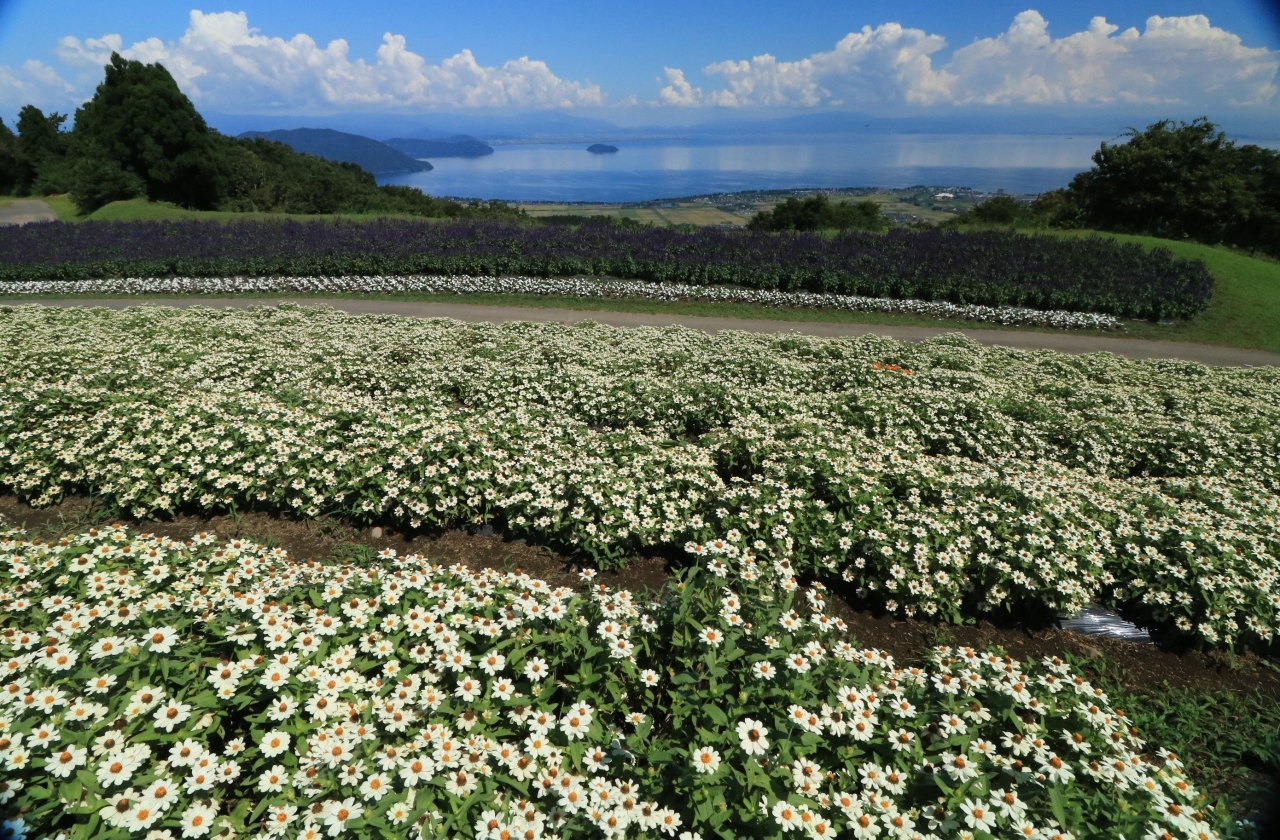 箱館山山頂にロープウエーとリフトを乗り継いで来てみれば そこはパラダイス 高島 滋賀県 の旅行記 ブログ By みちるさん フォートラベル 箱館山山頂にロープウエーとリフトを乗り継いで来てみれば そこはパラダイス 高島 滋賀県 の旅行記 ブログ By みちるさん フォートラベル