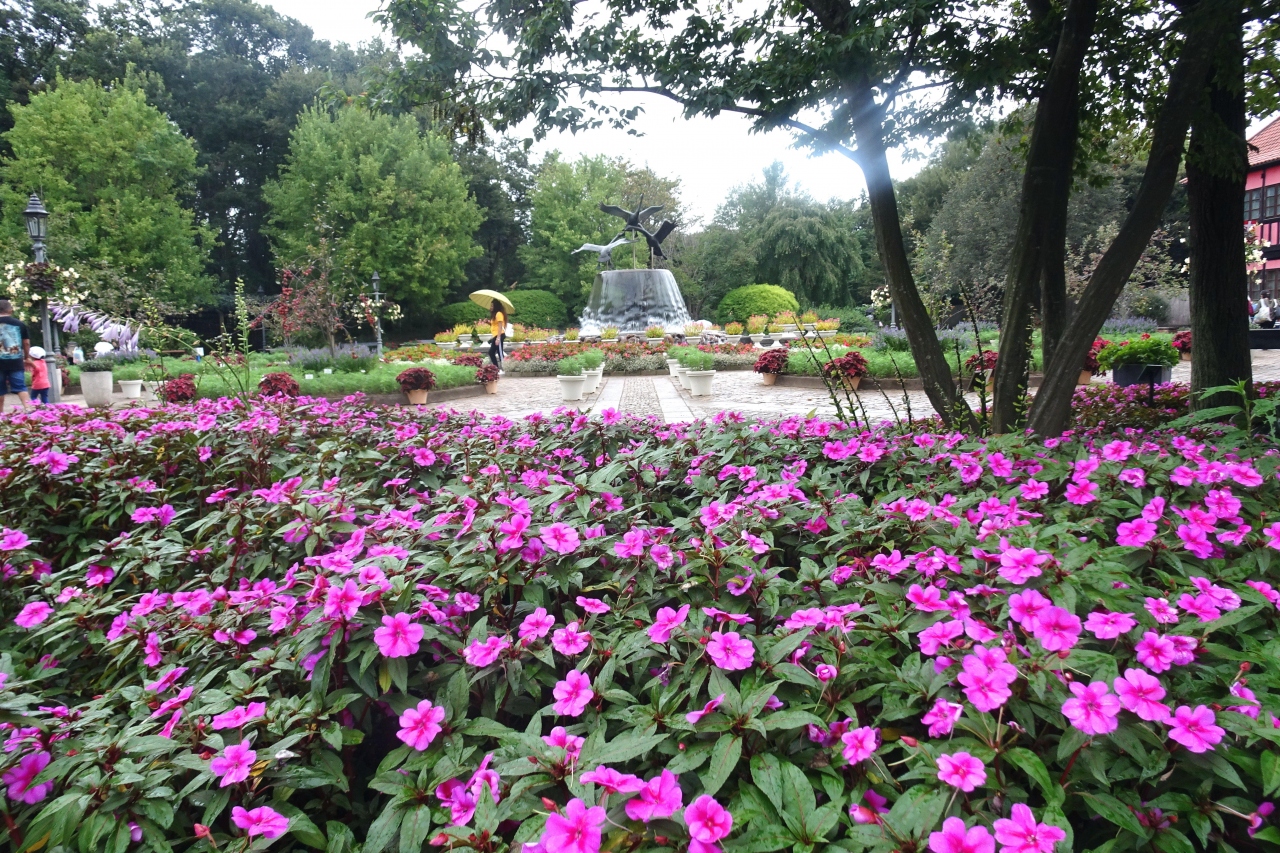 ふなばしアンデルセン公園 ２０２０秋 船橋 習志野 千葉県 の旅行記 ブログ By Takeおじさん フォートラベル