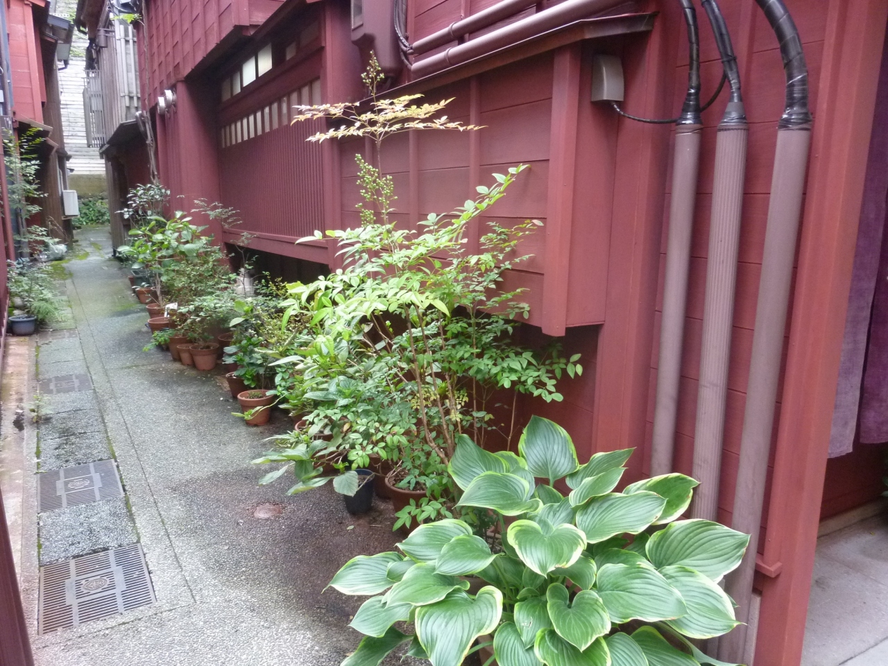 ぶらり金沢へ ひがし茶屋街 金沢 石川県 の旅行記 ブログ By パンジーさん フォートラベル