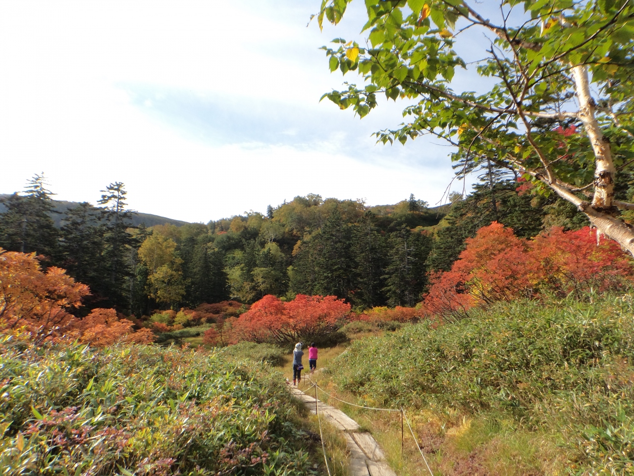 久しぶりの高原温泉沼巡り 層雲峡 北海道 の旅行記 ブログ By Nimameさん フォートラベル