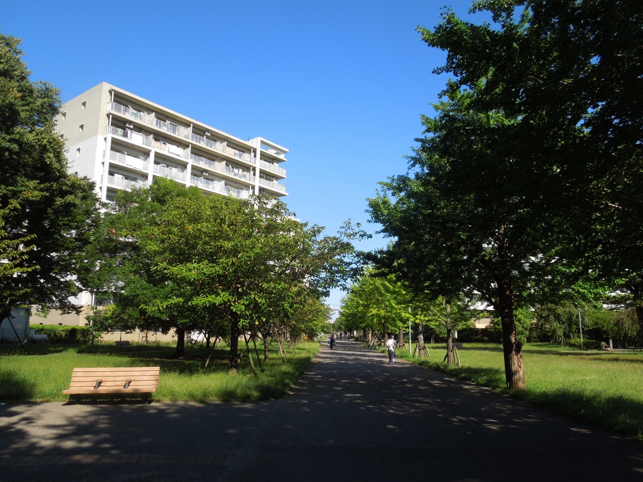 『ふじみ野市福岡中央公園付近の風景』埼玉県の旅行記・ブログ by 『ふじみ野市福岡中央公園付近の風景』埼玉県の旅行記・ブログ by