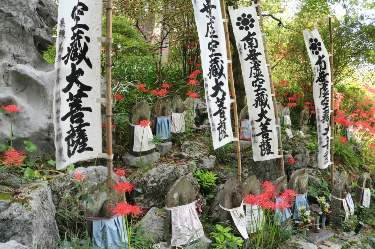 紅に燃ゆる 大垣市明星輪寺彼岸花 海津市津屋川堤防彼岸花 大垣 岐阜県 の旅行記 ブログ By みちるさん フォートラベル 紅に燃ゆる 大垣市明星輪寺彼岸花 海津市津屋川堤防彼岸花 大垣 岐阜県 の旅行記 ブログ By みちるさん フォートラベル