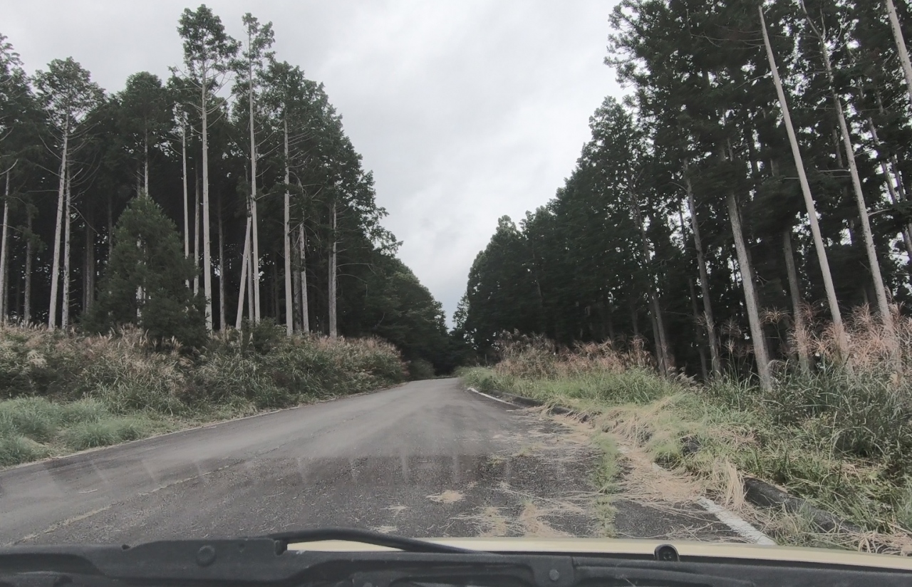 久々の山道ドライブ 大井川七曲りから春野へ 3 3 春野下泉停車場線 県道263 水窪森線 県道3 を走る 天竜 静岡県 の旅行記 ブログ By Motogenさん フォートラベル 久々の山道ドライブ 大井川七曲りから春野へ 3 3 春野下泉停車場線 県道263 水窪森線 県道3 を走る 天竜 静岡県 の旅行記 ブログ By Motogenさん フォートラベル