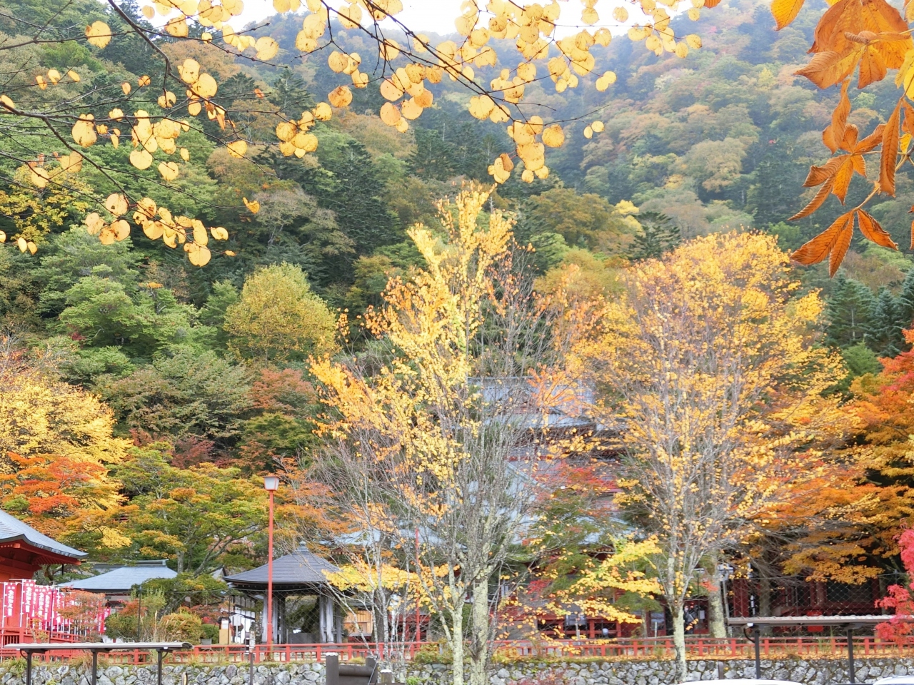 渋滞を避けて紅葉狩りの日光半月山 日光 栃木県 の旅行記 ブログ By Payokoさん フォートラベル 渋滞を避けて紅葉狩りの日光半月山 日光 栃木県 の旅行記 ブログ By Payokoさん フォートラベル