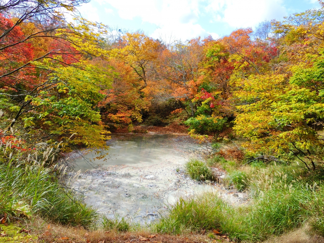 極彩色の阿寒 丹頂の釧路 北海道の旅行記 ブログ By まーがりんさん フォートラベル