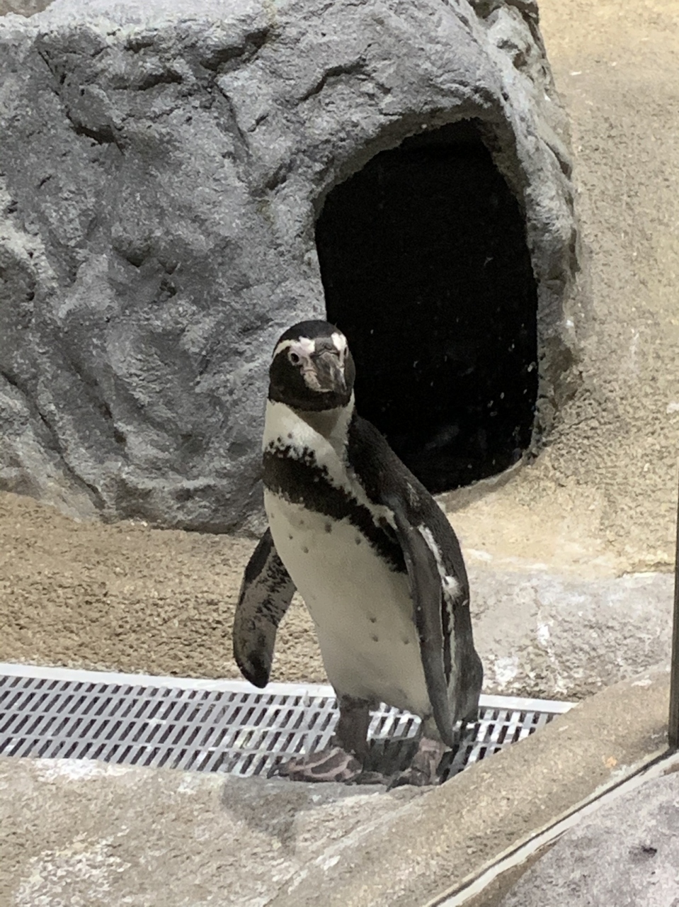 年に一度の沖縄旅行3 沖縄県の旅行記 ブログ By u45さん フォートラベル 年に一度の沖縄旅行3 沖縄県の旅行記 ブログ By u45さん フォートラベル