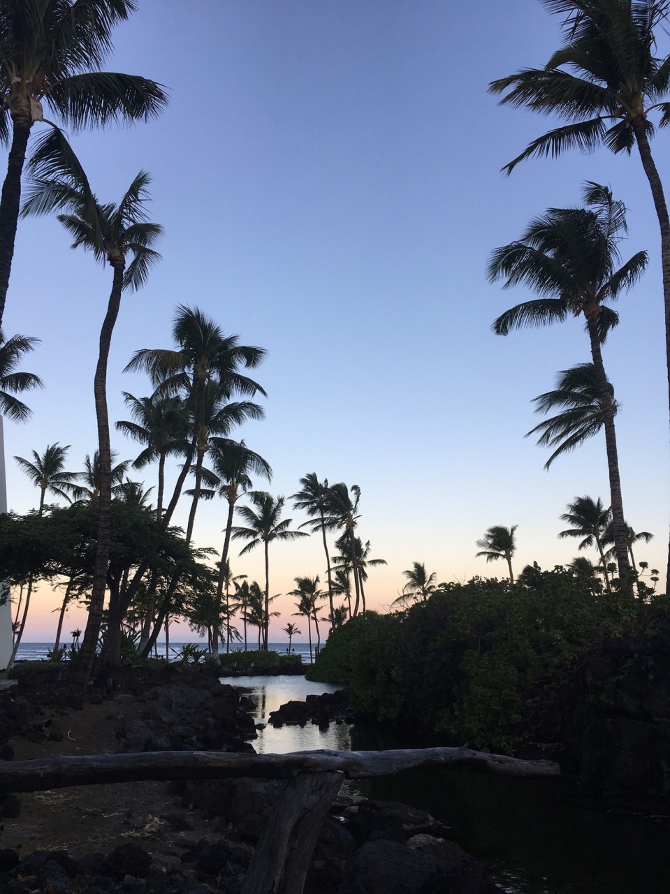愛しいハワイに行ける日を願って ハワイ島 ハワイ の旅行記 ブログ By Kumikumimuさん フォートラベル 愛しいハワイに行ける日を願って ハワイ島 ハワイ の旅行記 ブログ By Kumikumimuさん フォートラベル