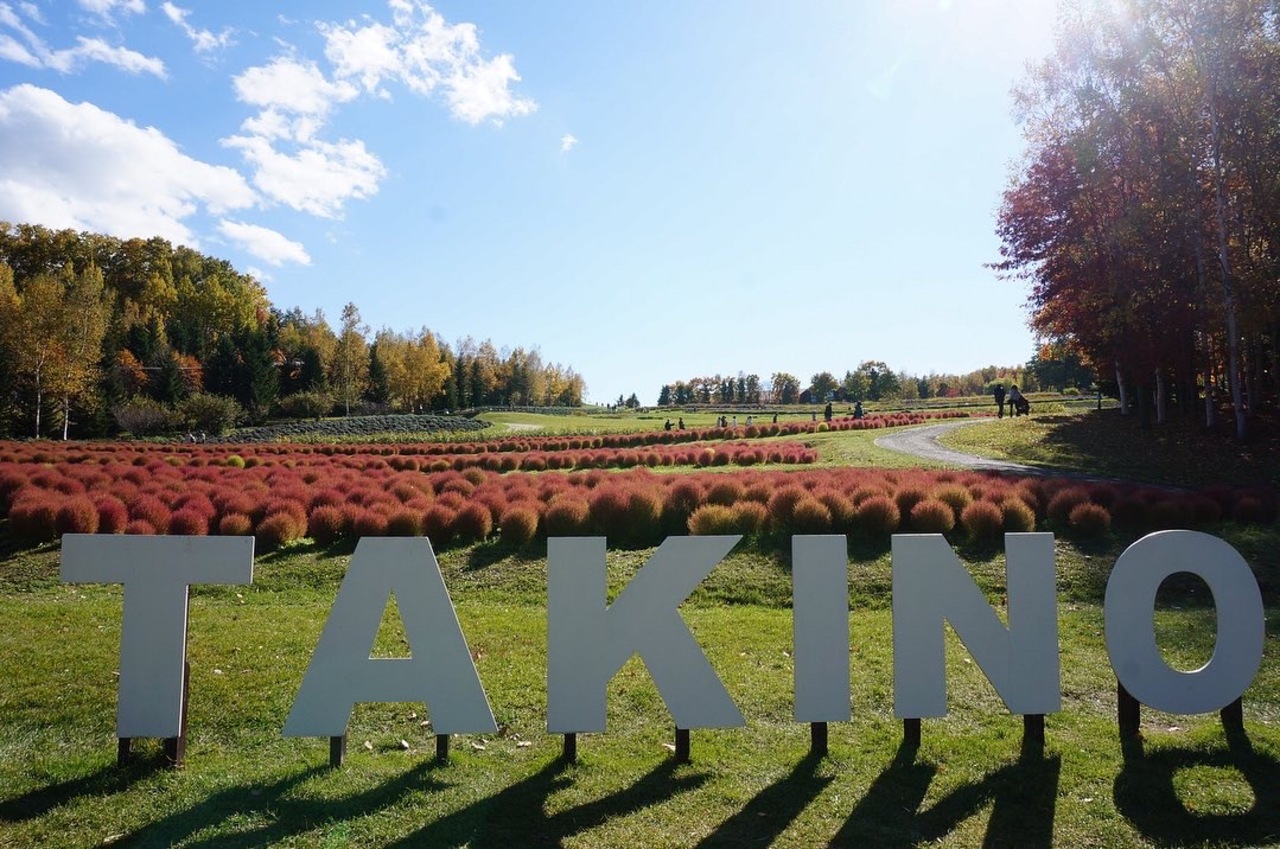 秋の 滝野すずらん丘陵公園 にてコキア鑑賞など 札幌 北海道 の旅行記 ブログ By ます子さん フォートラベル 秋の 滝野すずらん丘陵公園 にてコキア鑑賞など 札幌 北海道 の旅行記 ブログ By ます子さん フォートラベル