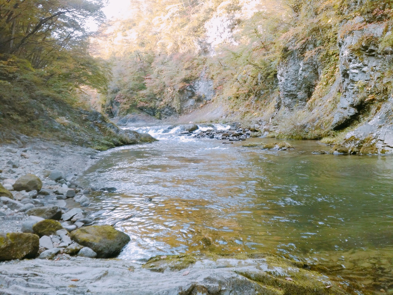 紅葉の見頃にはもうちょっとだった 栗原市花山をぐるっと 栗駒 栗原 宮城県 の旅行記 ブログ By イッツパパさん フォートラベル 紅葉の見頃にはもうちょっとだった 栗原市花山をぐるっと 栗駒 栗原 宮城県 の旅行記 ブログ By イッツパパさん フォートラベル