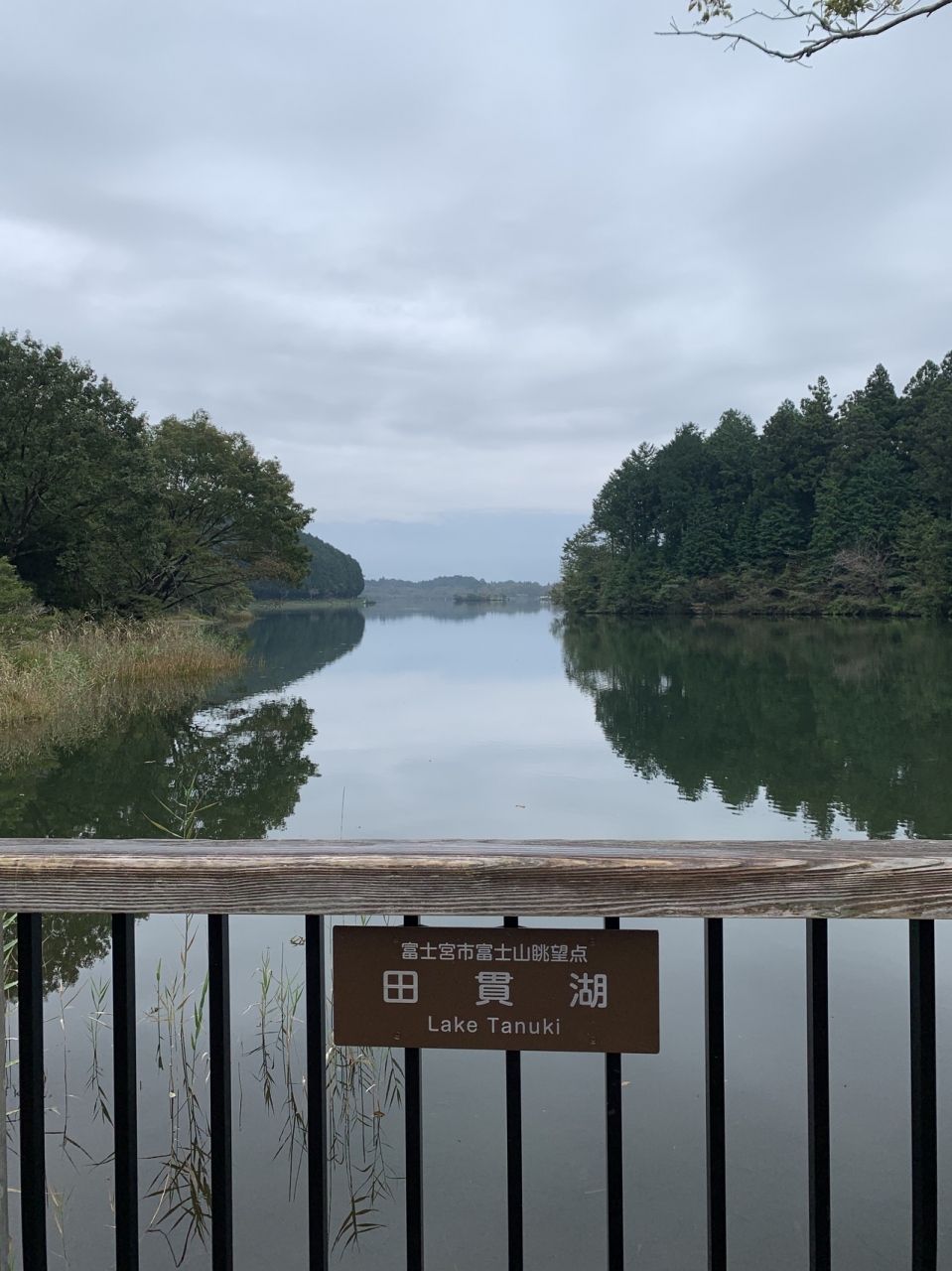 グルキャン 田貫湖キャンプ場 富士宮 静岡県 の旅行記 ブログ By Yusakuさん フォートラベル