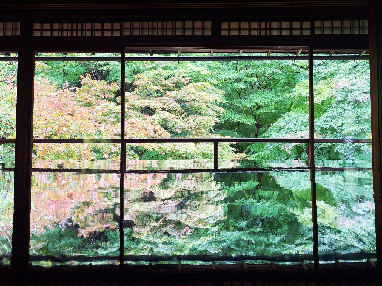 Go To トラベルで京都へ 京都の旅行記 ブログ By そらさん フォートラベル Go To トラベルで京都へ 京都の旅行記 ブログ By そらさん フォートラベル