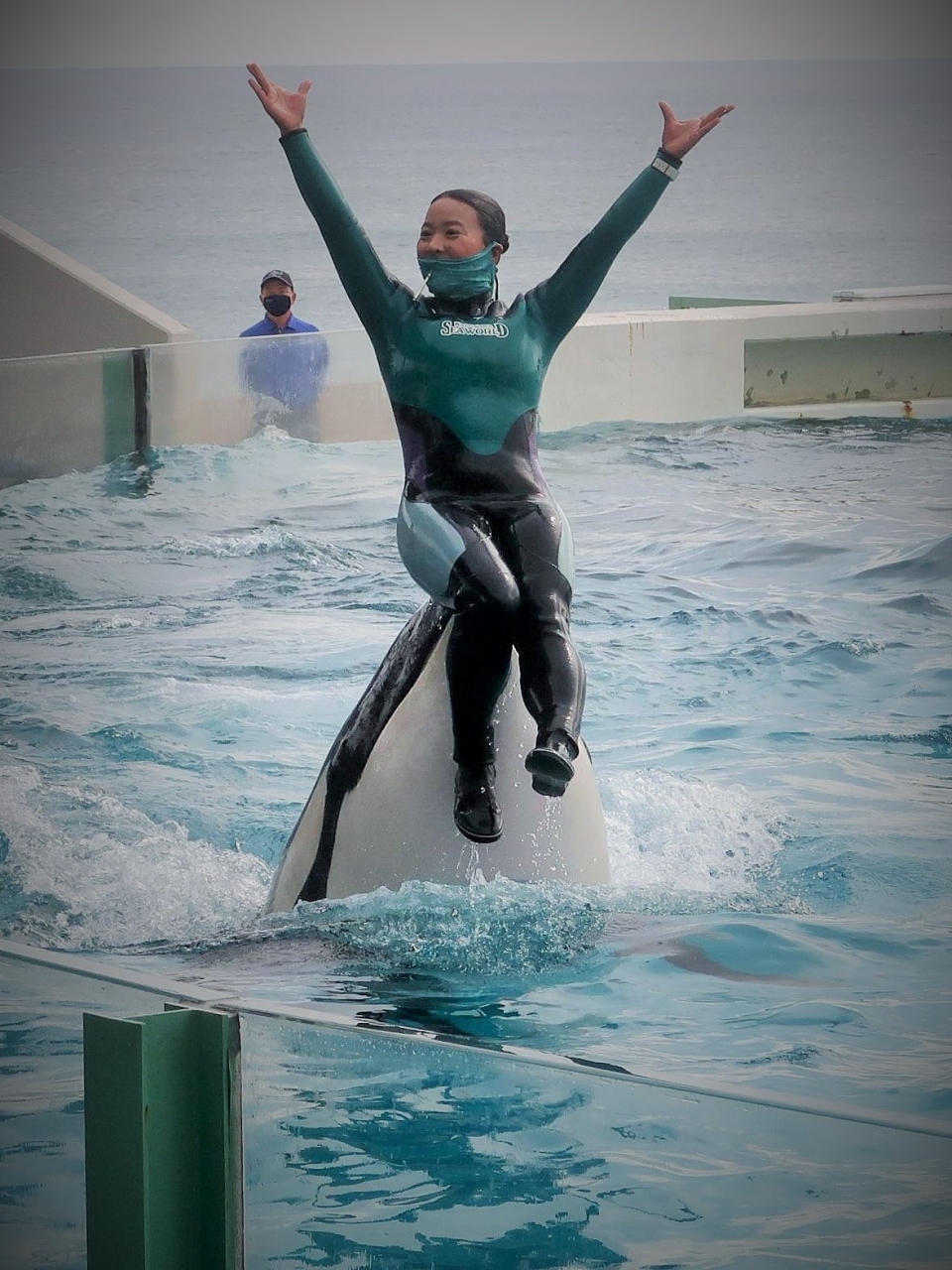 鴨川seaworld 8 シャチパフォーマンス a 前半 大迫力 水濡れ覚悟のスタジアム 鴨川 千葉県 の旅行記 ブログ By マキタン2さん フォートラベル 鴨川seaworld 8 シャチパフォーマンス a 前半 大迫力 水濡れ覚悟のスタジアム 鴨川 千葉県 の旅行記 ブログ By マキタン2さん フォートラベル