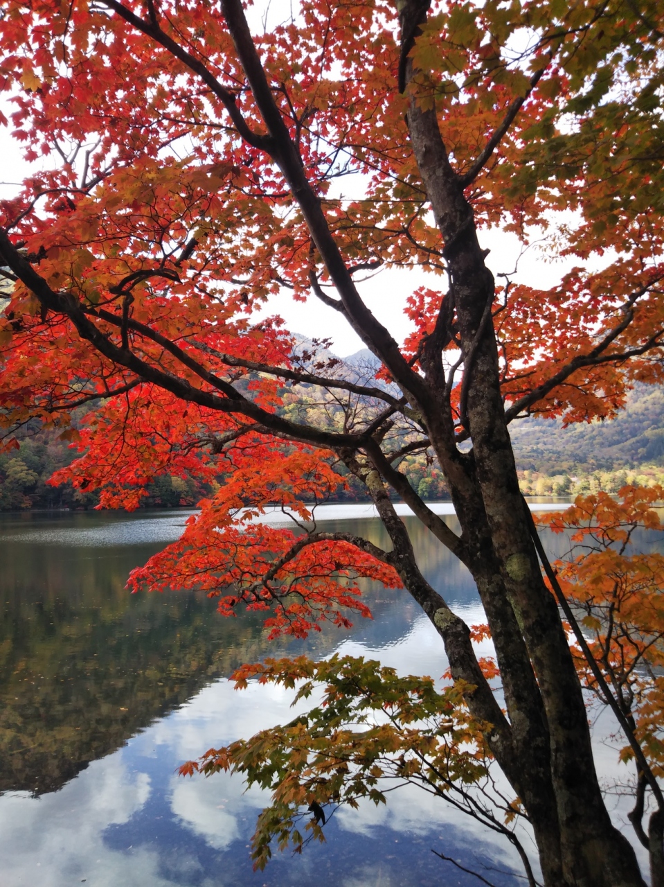 リッツ カールトン日光 栃木県の旅行記 ブログ By ぷー子さん フォートラベル リッツ カールトン日光 栃木県の旅行記 ブログ By ぷー子さん フォートラベル