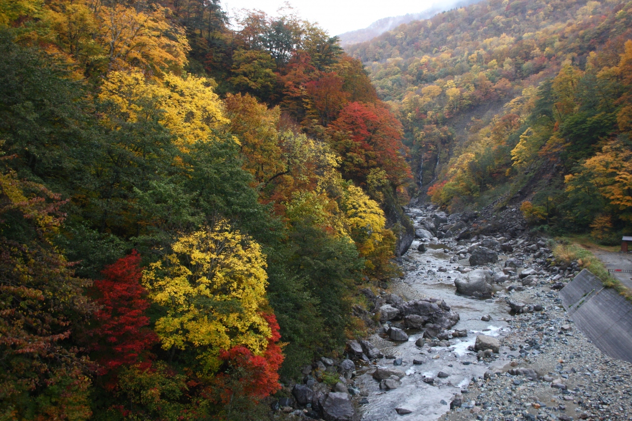 奧信濃ぶらり 秋山郷 絶景 錦秋 紅 黄 葉 の旅 飯山 栄村 長野県 の旅行記 ブログ By いぬちゃんさん フォートラベル