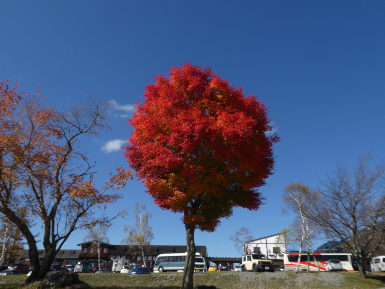 紅葉狩りに蓼科へgo 1 4 紅葉の名所 御射鹿池と北八ヶ岳ロープウェイ 茅野 長野県 の旅行記 ブログ By 風さん フォートラベル