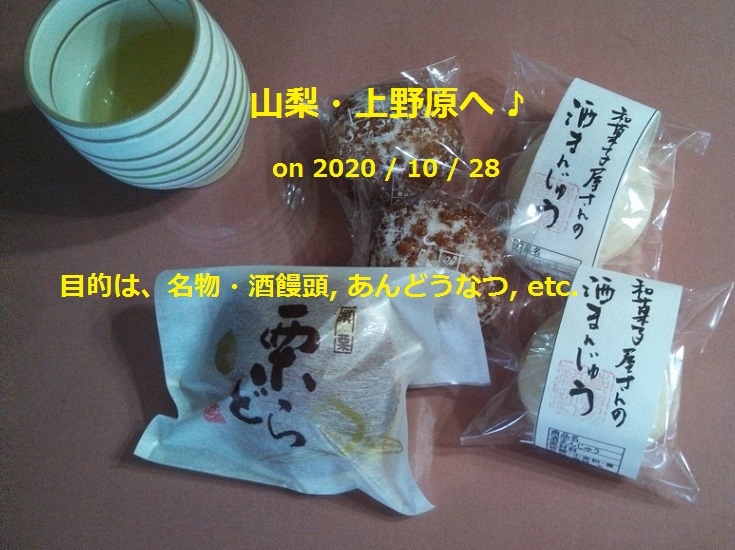 誤字訂正 愛車fitで山梨 上野原へ 年10月 酒饅頭 あんどうなつ ほうとう 歴史にも触れ 上野原 丹波山 山梨県 の旅行記 ブログ By Jgc Sfcさん フォートラベル 誤字訂正 愛車fitで山梨 上野原へ 年10月 酒饅頭 あんどうなつ ほうとう 歴史にも触れ 上野原 丹波山 山梨県 の旅行記 ブログ By Jgc Sfcさん フォートラベル