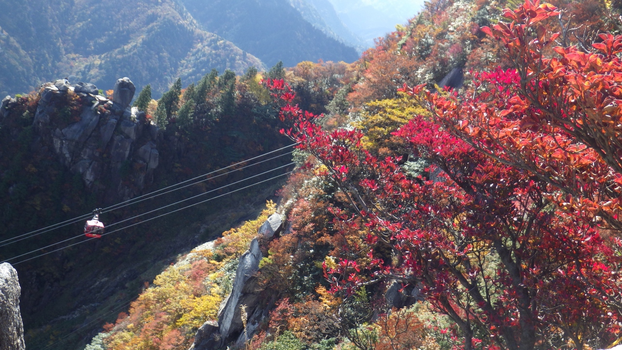 御在所岳の紅葉 湯の山温泉 御在所 三重県 の旅行記 ブログ By やまぼうずさん フォートラベル 御在所岳の紅葉 湯の山温泉 御在所 三重県 の旅行記 ブログ By やまぼうずさん フォートラベル