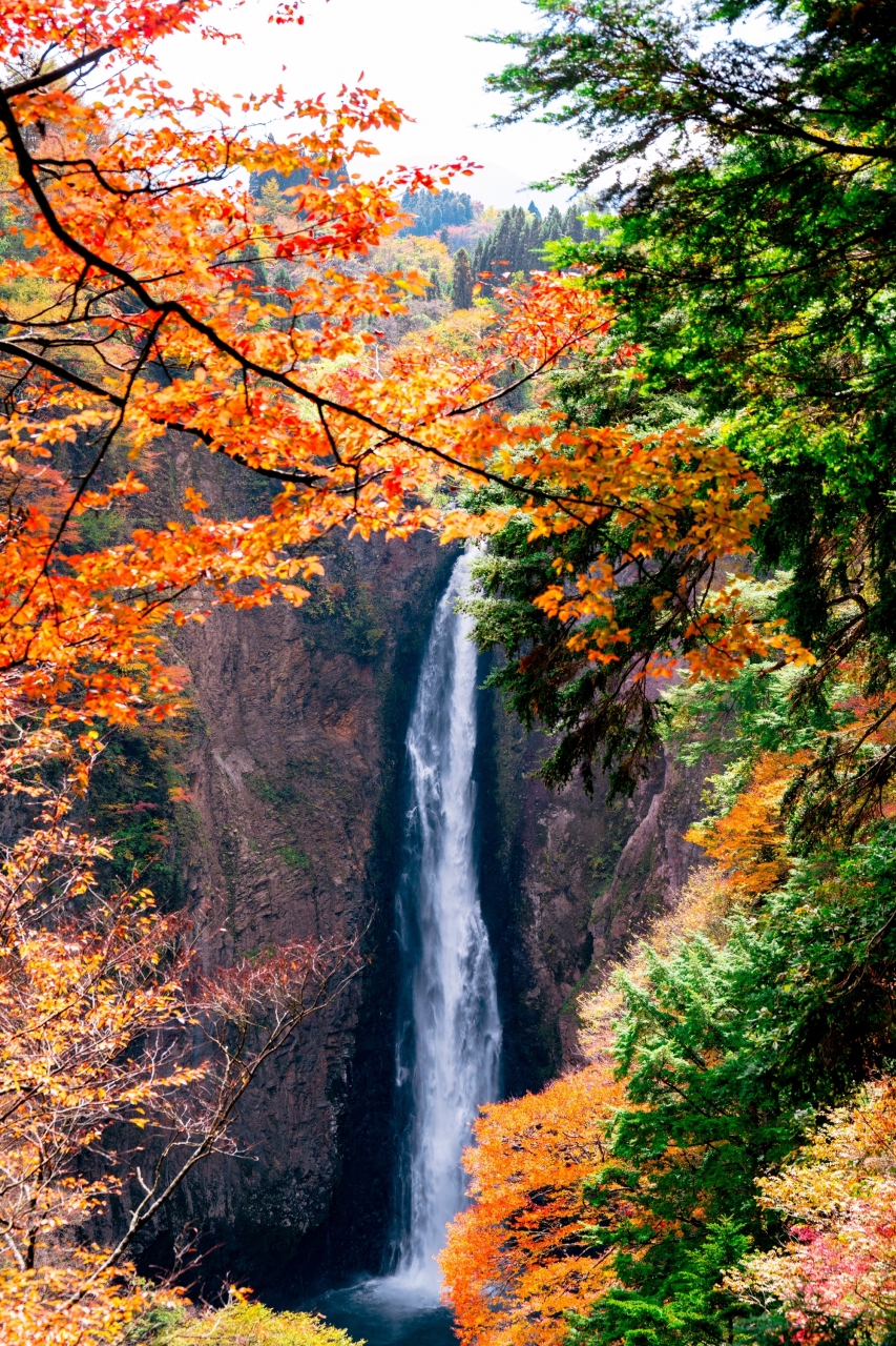 九酔渓の紅葉 筋湯温泉 九重温泉郷 大分県 の旅行記 ブログ By 気まぐれなデジカメ館さん フォートラベル 九酔渓の紅葉 筋湯温泉 九重温泉郷 大分県 の旅行記 ブログ By 気まぐれなデジカメ館さん フォートラベル