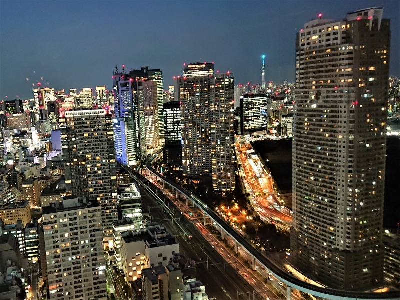 世界貿易センタービルからの眺め 浜松町 竹芝 東京 の旅行記 ブログ By Mirukuさん フォートラベル