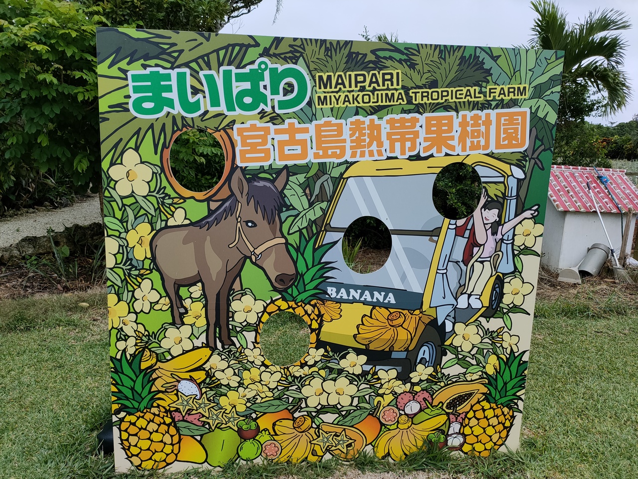 秋の宮古島 沖縄 母娘2人旅 4 宮古島東急ホテル リゾーツその2 ビュッフェ まいぱり 宮古島 沖縄県 の旅行記 ブログ By りいいさん フォートラベル 秋の宮古島 沖縄 母娘2人旅 4 宮古島東急ホテル リゾーツその2 ビュッフェ まいぱり 宮古島 沖縄県 の旅行記 ブログ By りいいさん フォートラベル