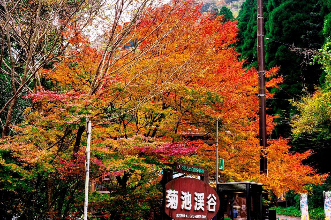 菊池渓谷 秋 菊池 合志 熊本県 の旅行記 ブログ By 気まぐれなデジカメ館さん フォートラベル