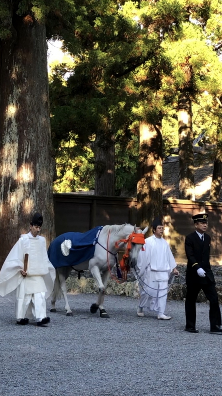伊勢神宮 熱田神宮0泊2日弾丸旅行 神馬と神鶏に出会えたラッキーな旅 伊勢神宮 三重県 の旅行記 ブログ By Acさん フォートラベル 伊勢神宮 熱田神宮0泊2日弾丸旅行 神馬と神鶏に出会えたラッキーな旅 伊勢神宮 三重県 の旅行記 ブログ By Acさん フォートラベル