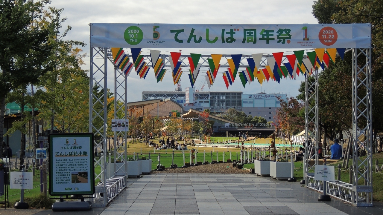 天王寺公園エントランスエリア てんしば ミナミ 難波 天王寺 大阪 の旅行記 ブログ By Rin Tomitaさん フォートラベル