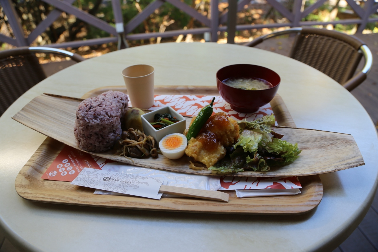 紅葉を求めて奈良公園へ 大仏様とランチ 奈良市 奈良県 の旅行記 ブログ By Gontaraさん フォートラベル