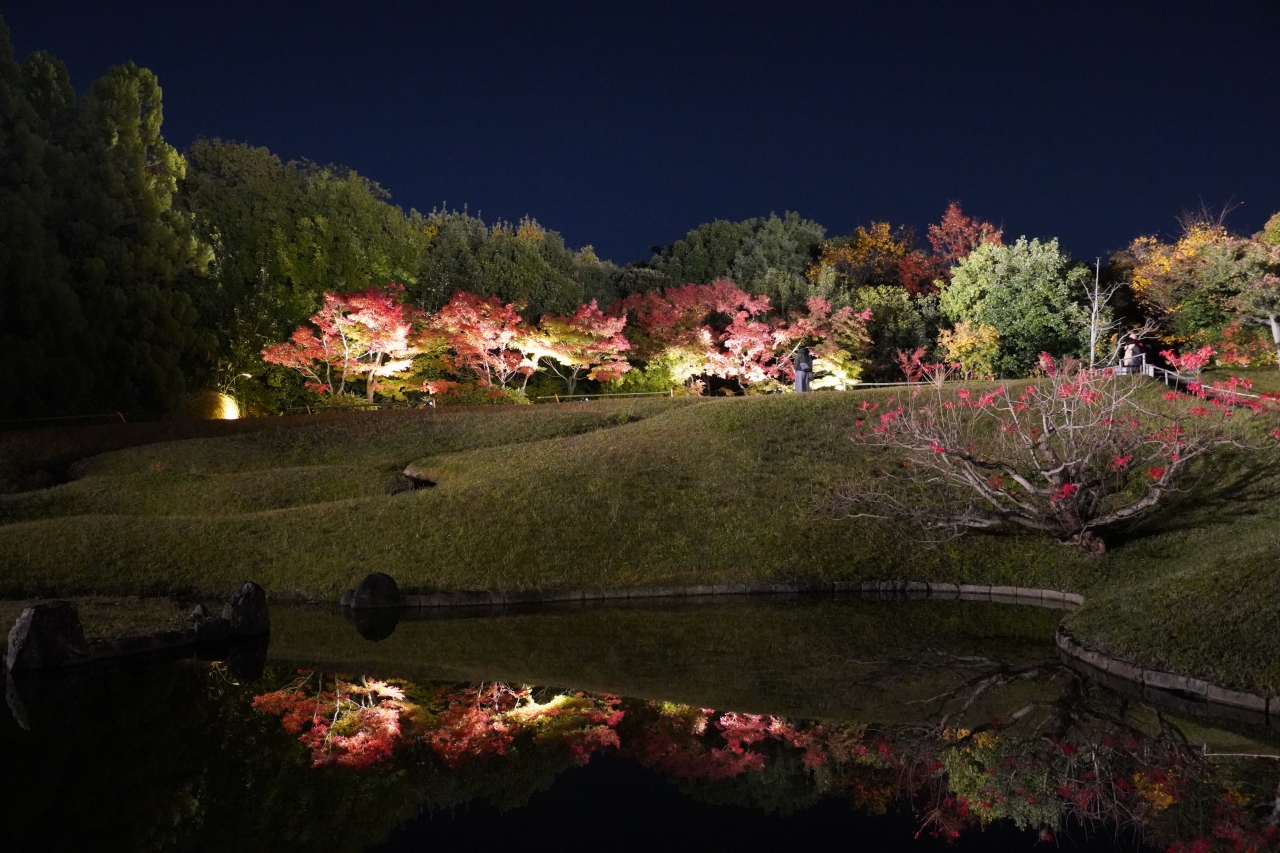 1117 2 京都 梅小路公園 朱雀の庭の紅葉まつり 紅葉と池とライトアップ 京都駅周辺 京都 の旅行記 ブログ By Hhbさん フォートラベル