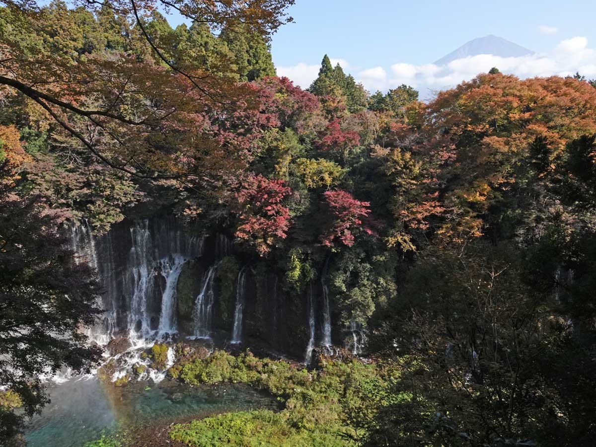 紅葉が見頃の田貫湖から白糸の滝へ 11 15 富士宮 静岡県 の旅行記 ブログ By てんとう虫さん フォートラベル