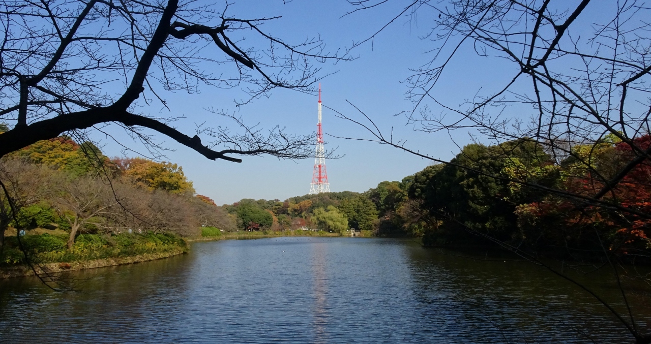 横浜の紅葉 ２０２０ 三ッ池公園 横浜 神奈川県 の旅行記 ブログ By Takeおじさん フォートラベル