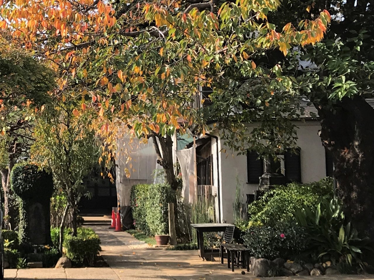 谷根千界隈の庚申塔 その2 谷中3ケ寺 上野公園2ケ寺ほか 谷根千 東京 の旅行記 ブログ By 紅映さん フォートラベル 谷根千界隈の庚申塔 その2 谷中3ケ寺 上野公園2ケ寺ほか 谷根千 東京 の旅行記 ブログ By 紅映さん フォートラベル