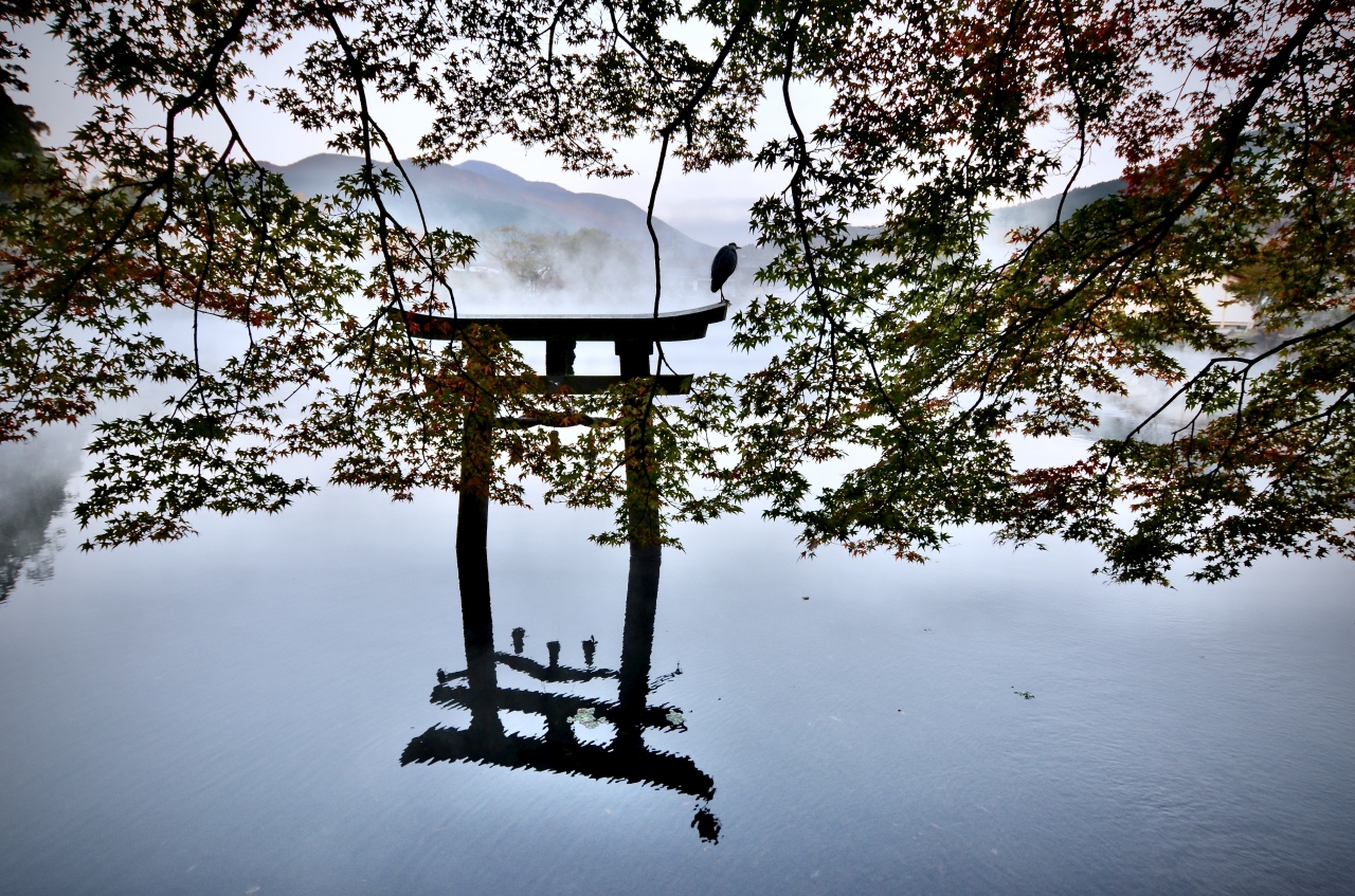 由布院 玉の湯 で過ごす Gotoトラベル 紅葉と美食のゆる り由布院 金鱗湖 食べ過ぎた 編 湯布院 由布院温泉 大分県 の旅行記 ブログ By Taroトラベルさん フォートラベル