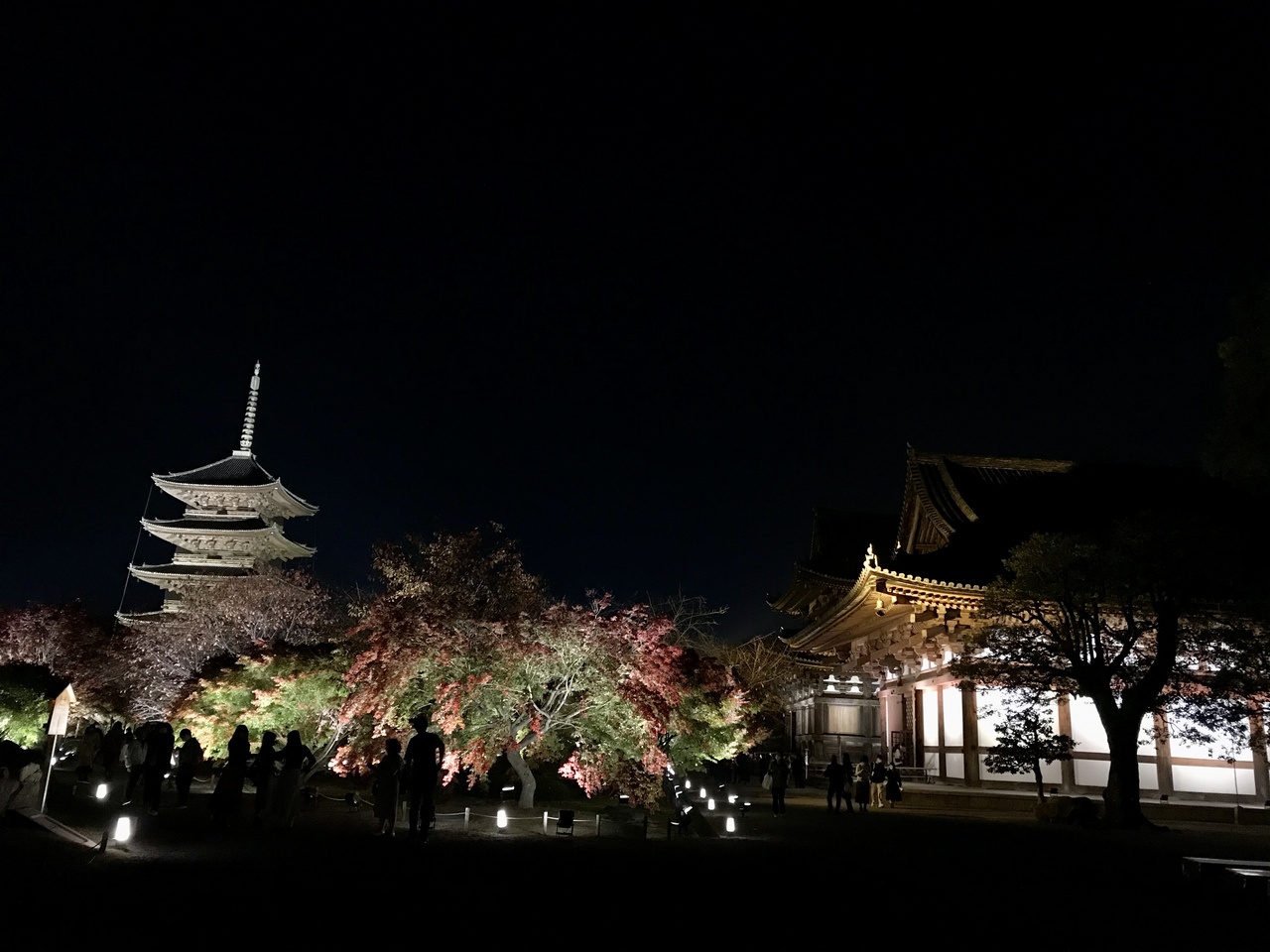 東寺秋期特別公開 紅葉ライトアップ 京都駅周辺 京都 の旅行記 ブログ By Chemireさん フォートラベル 東寺秋期特別公開 紅葉ライトアップ 京都駅周辺 京都 の旅行記 ブログ By Chemireさん フォートラベル