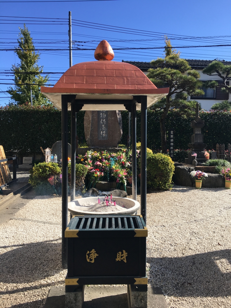 結局誰も我慢しなかったっぽい 我慢の3連休 私はおとなしく猫のお墓参りなど 国立 府中 稲城 東京 の旅行記 ブログ By たまさん フォートラベル 結局誰も我慢しなかったっぽい 我慢の3連休 私はおとなしく猫のお墓参りなど 国立 府中 稲城 東京 の旅行記 ブログ By たまさん フォートラベル