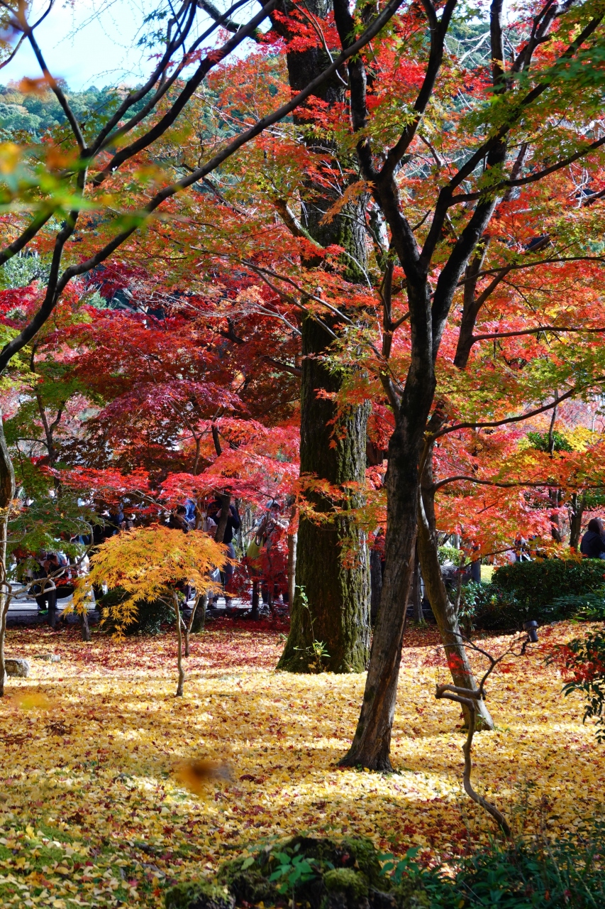 京都 紅葉散策 1日目 毘沙門堂 南禅寺 永観堂 清水寺 東寺 京都駅周辺 京都 の旅行記 ブログ By Yasuさん フォートラベル 京都 紅葉散策 1日目 毘沙門堂 南禅寺 永観堂 清水寺 東寺 京都駅周辺 京都 の旅行記 ブログ By Yasuさん フォートラベル