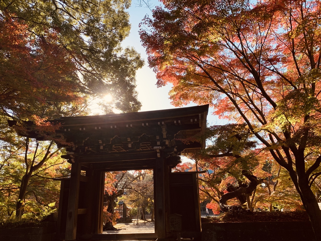 紅葉が見頃な東漸寺 本土寺 松戸 千葉県 の旅行記 ブログ By ジェイさん フォートラベル