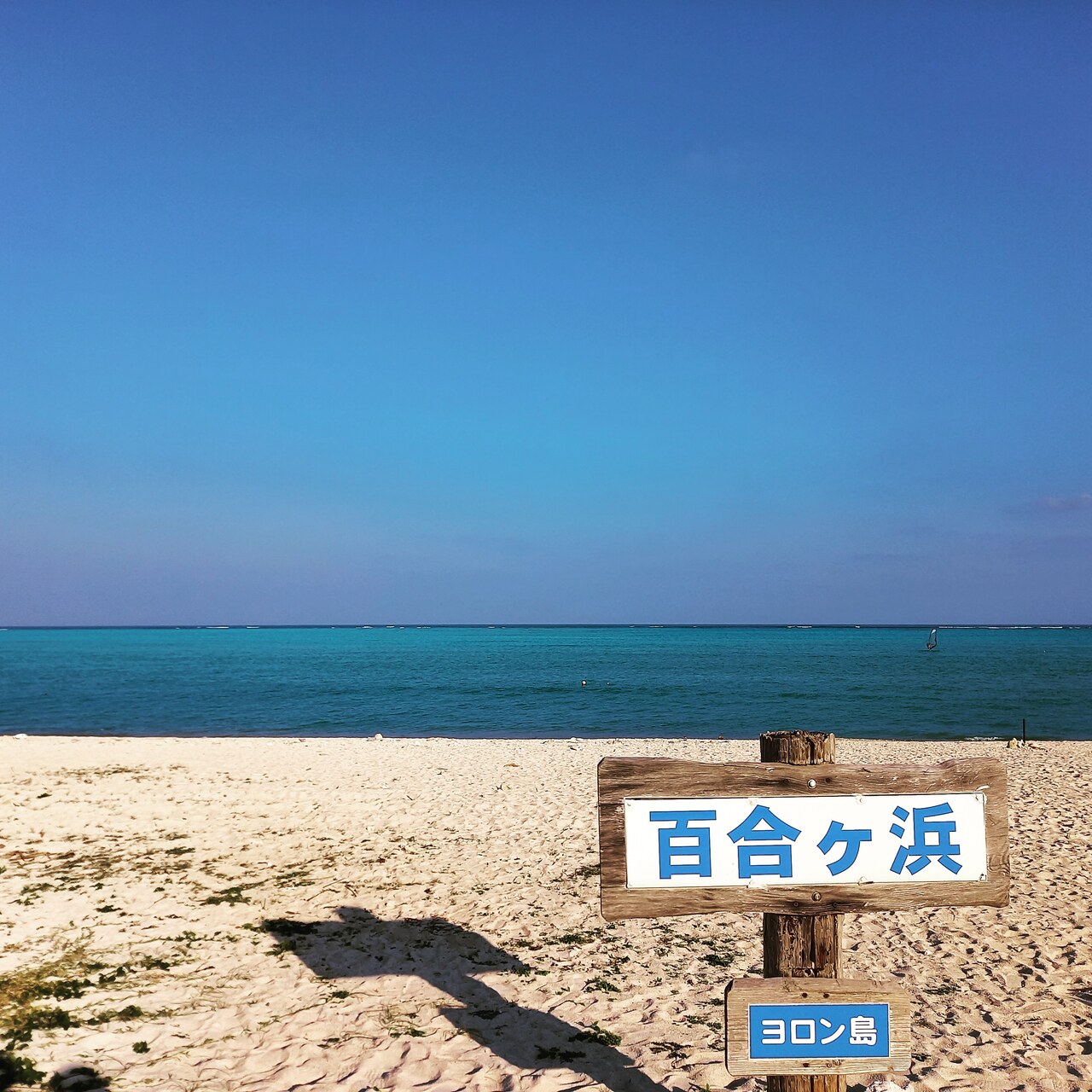 11月に１泊２日のヨロン島 与論島 鹿児島県 の旅行記 ブログ By きつねうどんさん フォートラベル