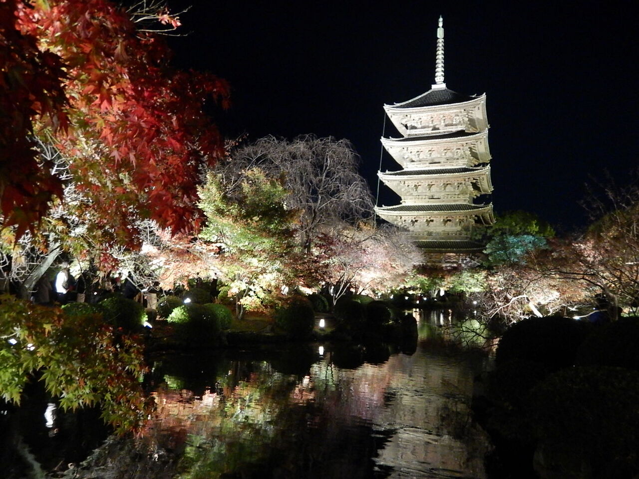 それでも京都に行こう 東寺ライトアップとsakura terrace 京都の旅行記 ブログ By りゅうさん フォートラベル それでも京都に行こう 東寺ライトアップとsakura terrace 京都の旅行記 ブログ By りゅうさん フォートラベル