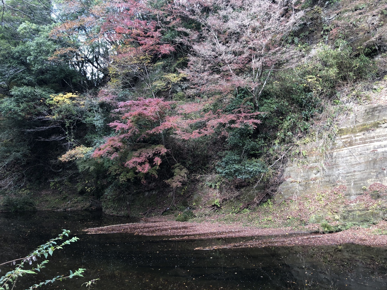 秋の勝浦のんびり旅 2日目午後 3日目 養老渓谷 千葉県 の旅行記 ブログ By マユミさん フォートラベル