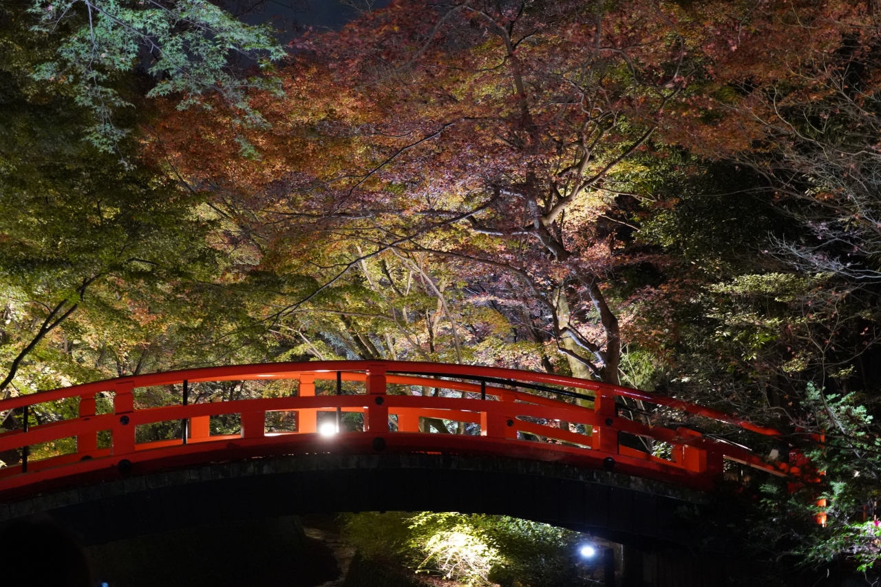 1126 2 京都 北野天満宮 御土居の紅葉ライトアップ 今出川 北大路 北野 京都 の旅行記 ブログ By Hhbさん フォートラベル