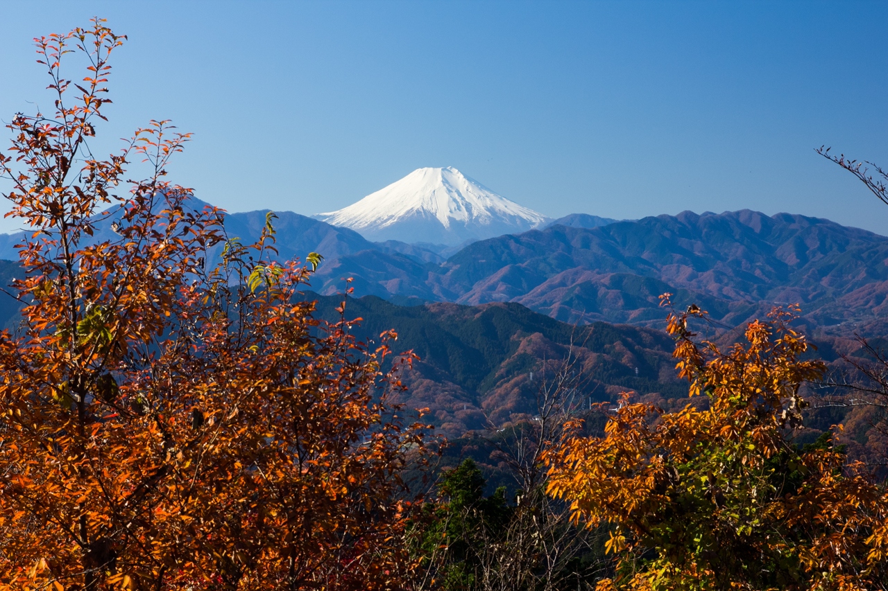 19初冬 再挑戦 の高尾山 高尾 八王子 東京 の旅行記 ブログ By あーちゃんさん フォートラベル