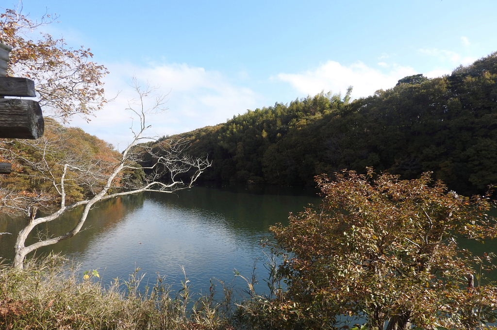水郷県民の森でバードウォッチング 18 7 潮来 茨城県 の旅行記 ブログ By 潮来メジロさん フォートラベル