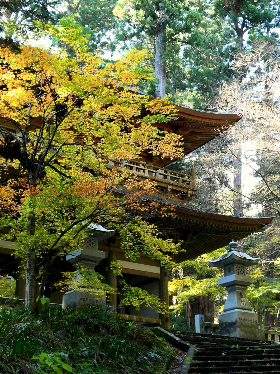 大雄山最乗寺の紅葉 秦野 松田 足柄 神奈川県 の旅行記 ブログ By 琉球熱さん フォートラベル 大雄山最乗寺の紅葉 秦野 松田 足柄 神奈川県 の旅行記 ブログ By 琉球熱さん フォートラベル