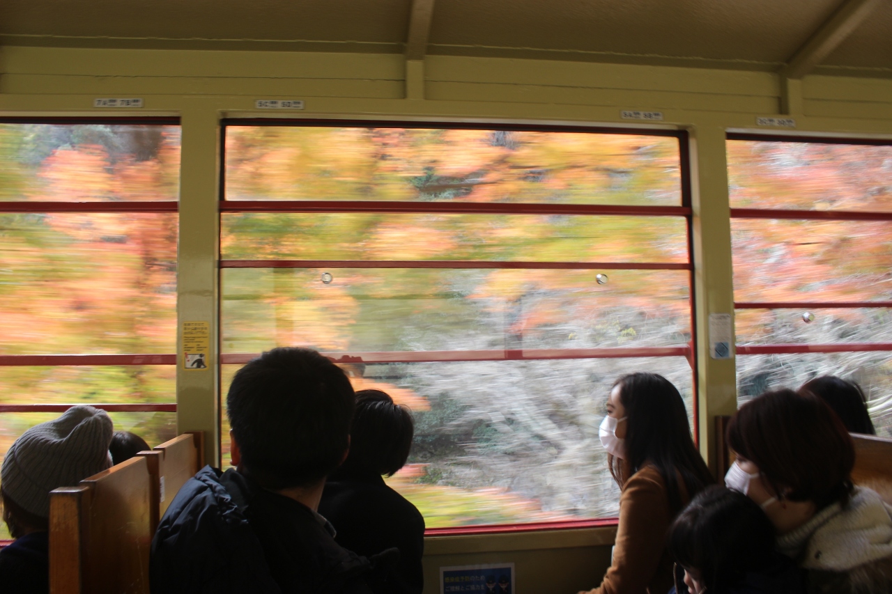 紅葉の京都へ ｇｏｔｏ 嵯峨野トロッコ 保津峡 嵐山 嵐山 嵯峨野 太秦 桂 京都 の旅行記 ブログ By あおしさん フォートラベル