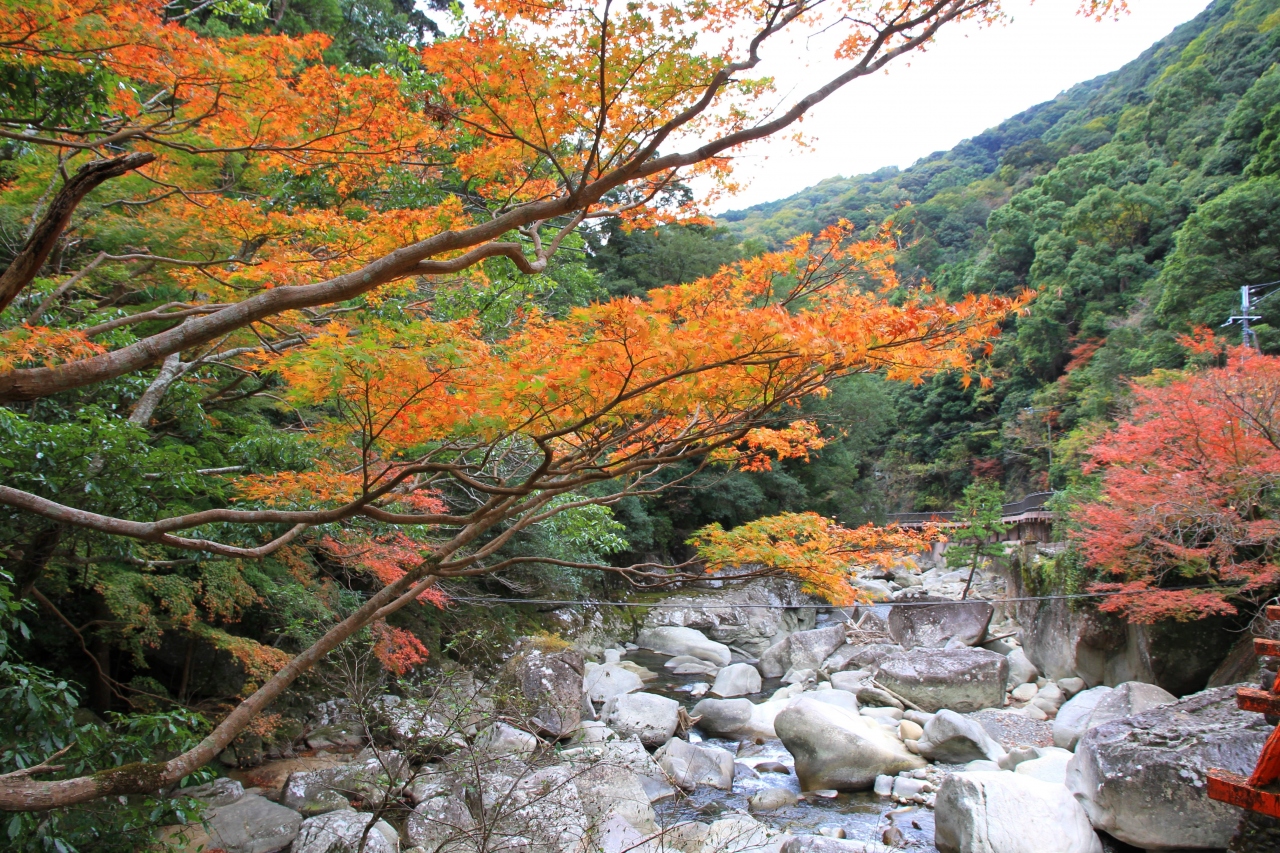 奇絶峡 救馬渓観音 紀伊田辺 和歌山県 の旅行記 ブログ By きよさん フォートラベル