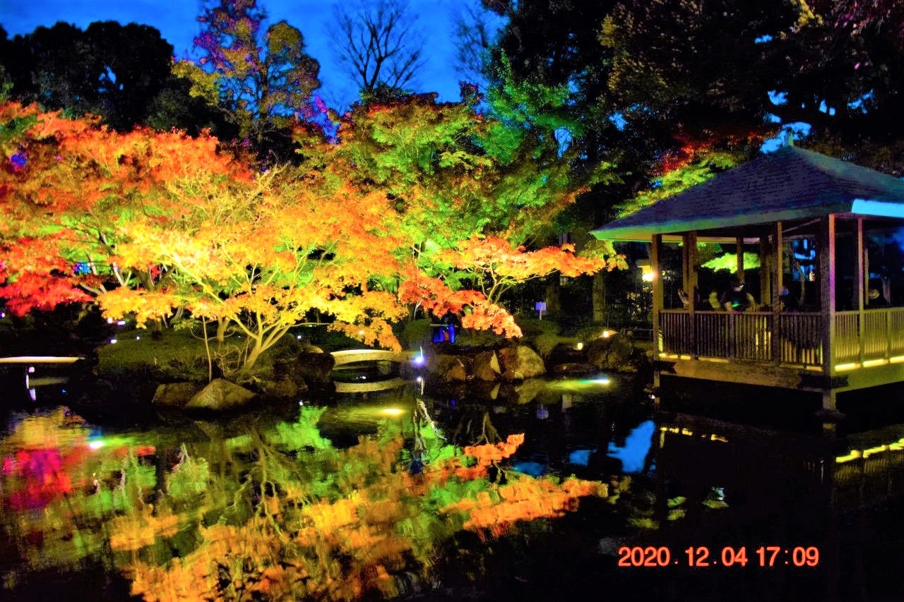都内紅葉穴場 大田黒公園紅葉とライトアップ 夜間ライトアップ 荻窪 西荻窪 東京 の旅行記 ブログ By Jh2fxvさん フォートラベル 都内紅葉穴場 大田黒公園紅葉とライトアップ 夜間ライトアップ 荻窪 西荻窪 東京 の旅行記 ブログ By Jh2fxvさん フォートラベル