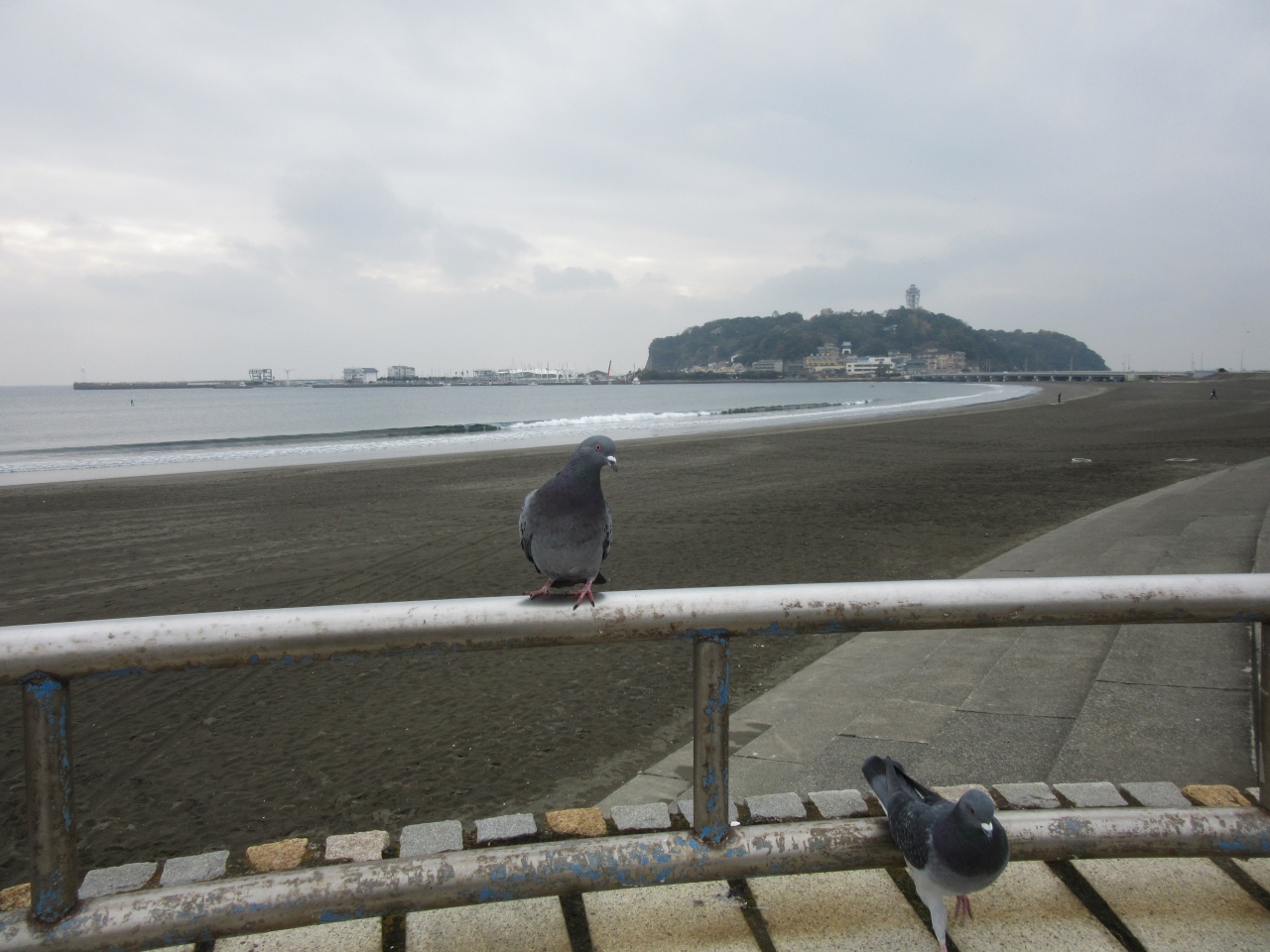 12月平日の江の島ちょい歩き 藤沢 江ノ島 神奈川県 の旅行記 ブログ By 楽人さん フォートラベル 12月平日の江の島ちょい歩き 藤沢 江ノ島 神奈川県 の旅行記 ブログ By 楽人さん フォートラベル